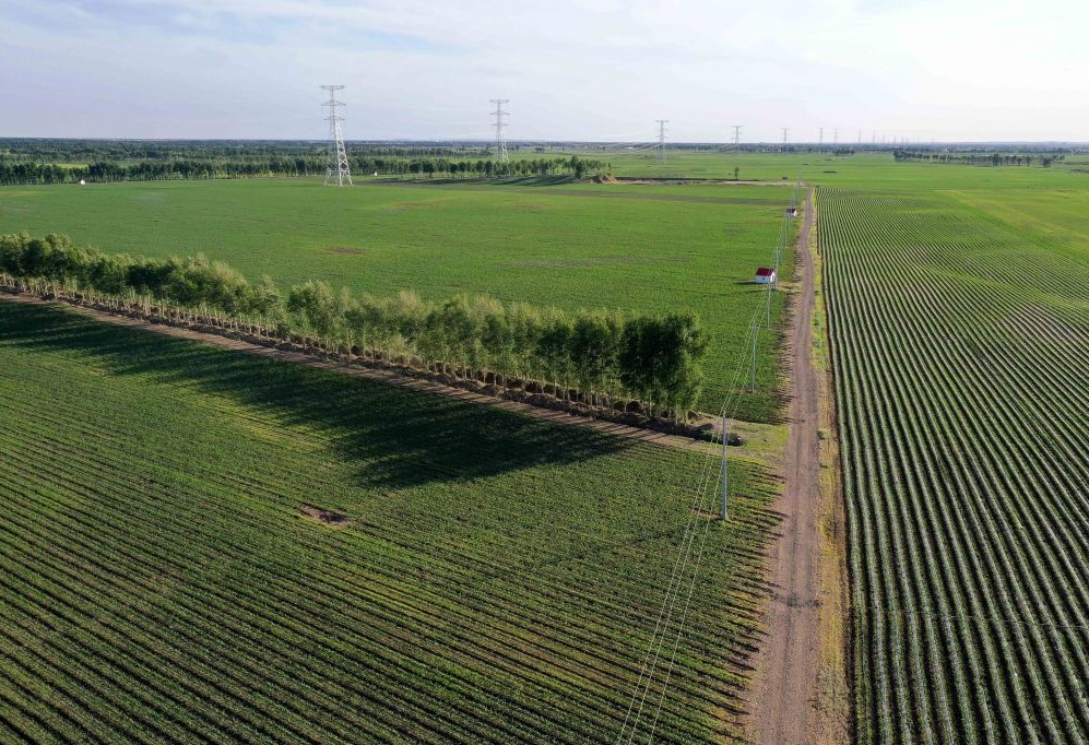 巴彥縣增發國債高標準農田建設項目（新建）監理